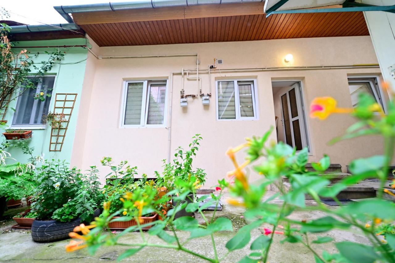 Flh - Tribunei Nest Sibiu
